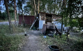 Три сосновоборца погибли после распития незамерзайки в Ленобласти