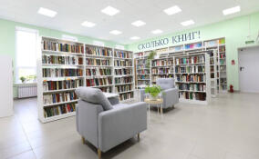 В Ленобласти начнут работу еще две модельные библиотеки