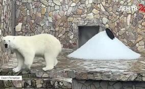 Ленинградский зоопарк отмечает юбилей