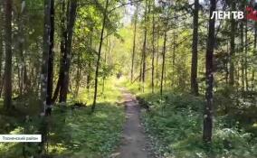 Экотропа «Колыбель русского лесоводства» в Тосненском районе получила продолжение