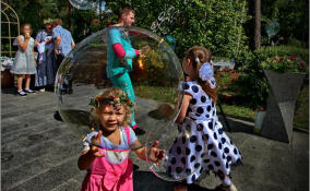 В Ленобласти хотят учредить День многодетной семьи