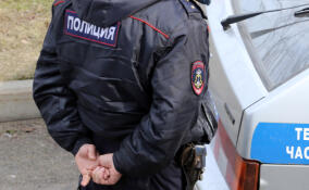 В Петербурге женщина украла из ПВЗ товары на 190 тысяч рублей