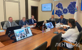 В Ленобласти о грядущих выборах известили уже почти 60 тысяч избирателей