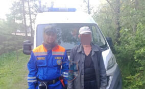 Волонтеры и спасатели вывели из леса под Тосно заплутавшего мужчину