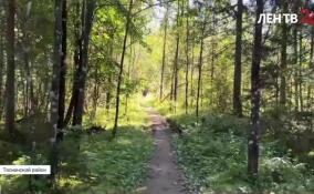 Экотропа «Колыбель русского лесоводства» продлена до святых мест