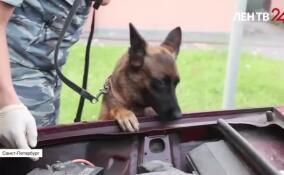 В ходе рейда в Центральном районе проверили 378 водителей