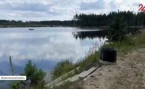 Во Всеволожском районе открылась экотропа «Звуки леса»