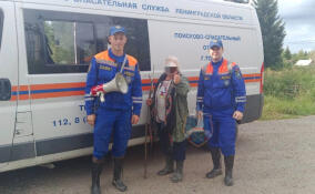 Спасатели вывели из леса у деревни Трубников Бор заплутавшую женщину