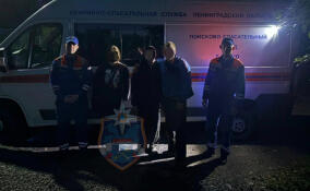 Трое подростков заблудились в лесу у поселка Строение