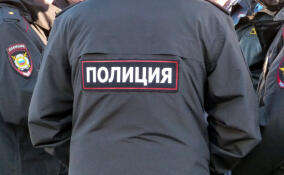 В Выборге задержали участника нападения на командировочного у ночного клуба