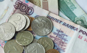 Ленобласть вошла в топ-15 регионов России по уровню зарплат