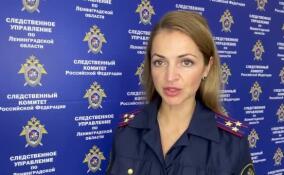 Блогер из Петрозаводска пойдет под суд за угрозы полицейскому в Лодейном Поле