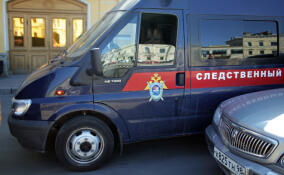 Работницу завода в Дубровке завалило листами ДСП