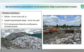 Ленобласть хочет привлечь росгвардейцев для борьбы с «теневыми полигонами»