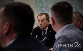 В Кингисеппе уже год не могут решить проблему с подтоплением участков