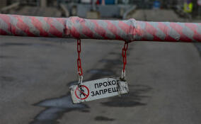 Александр Дрозденко поручил разобраться с перекрытой дорогой в деревне Скотное