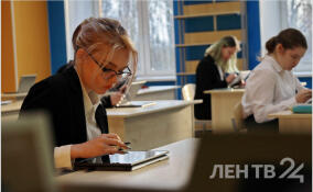 В Мурино намерены открыть филиал Всеволожского агропромышленного техникума