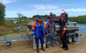 В лесах Ленобласти за неделю в беду попали как минимум 10 человек