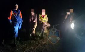 Три человека заплутали в лесу у деревни Городище