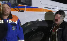 Спасатели вывели из леса у Сусанино заблудившуюся женщину