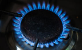 Услуги «Газпром межрегионгаз Санкт-Петербург» стали доступны в МФЦ Ленобласти