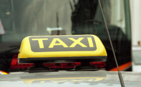 В Ленобласти 440 такси исключили из реестра из-за отсутствия ОСАГО