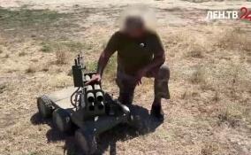 Как работают бойцы подразделения «Алания»