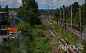 На железной дороге в Петербурге поезд насмерть сбил мужчину