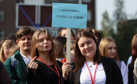 В вузы, техникумы и колледжи Ленобласти подали более 72 тысяч заявлений