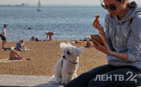 Пригодными для купания признали только три водоема в Ленобласти