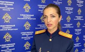 Глава СКР взял на контроль дело о нападении на женщин в Буграх