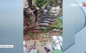 В Брянской области ФСБ пресекла деятельность украинских диверсантов