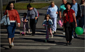 28 тысяч предложений ленинградцев объединили в программу «10 шагов к мечте»