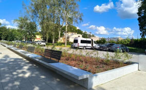 В Гатчине вандалы испортили новые скамейки у Березовых ворот