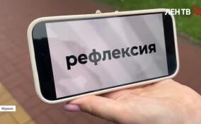 Жители Мурино проверили свою грамотность