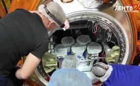 Экипаж из 75 мышей отправится в космический полет