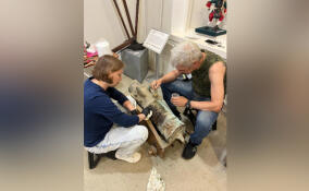 В Ленобласти реставрируют уникальную пушку XVII века