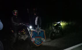 Спасатели помогли двум заблудившимся в лесу у Синявино мотоциклистам