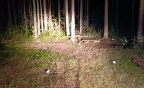 Мальчик погиб после игр у костра в лесу в Кировском районе