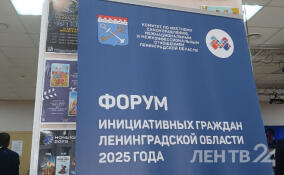В Низино проходит Форум инициативных граждан Ленобласти