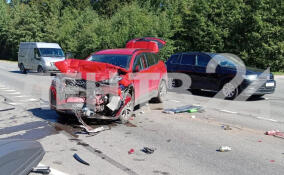 В ДТП на трассе «Кола» пострадали женщина и ребёнок