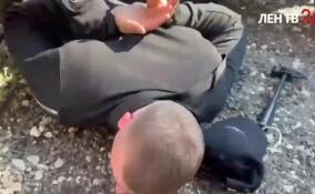 В Подмосковье задержали подозреваемого в разбое жителя Ленобласти