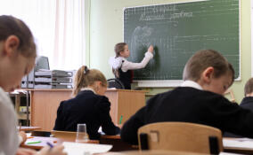 Все петербургские школы прошли проверку безопасности