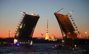 «Поющие мосты» в Петербурге посвятят Дню государственного флага