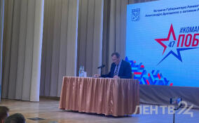 Пострадавшие от атак БПЛА жители Ленобласти будут получать региональные выплаты