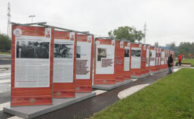 Выставку «Дневники Победы» можно будет увидеть на Васильевском острове