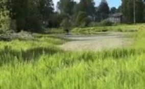 В поселке Шугозеро преобразилась территория у пруда