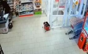 Полицейские задержали магазинных взломщиков в Никольском