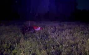 Парапланерист разбился на смерть во Всеволожском районе