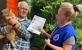 Жителям Ленобласти рассказывают о выборах губернатора в рамках «ИнформУИК»